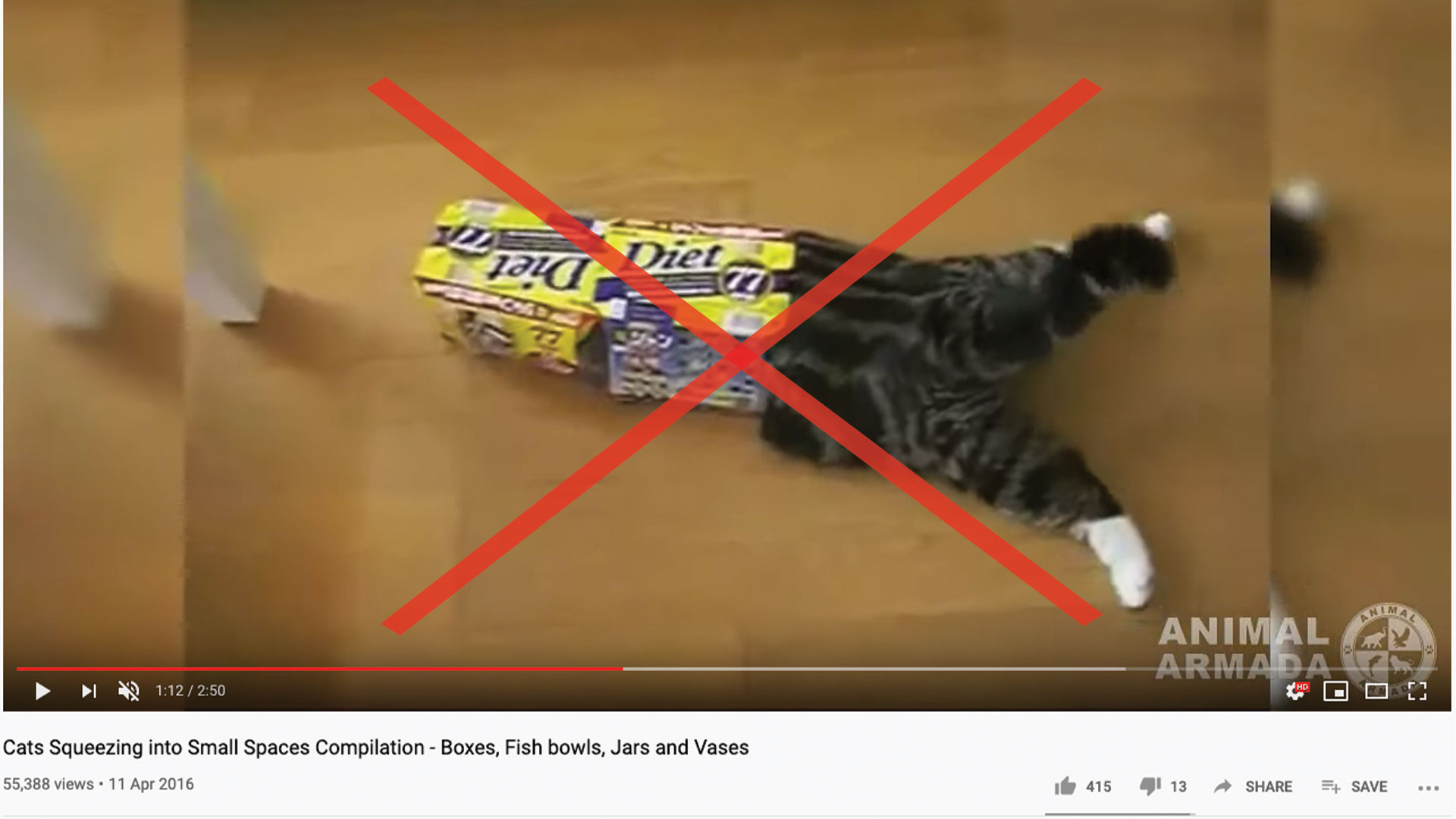 youtube-fail-video