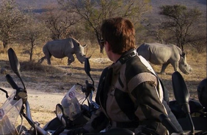 Alex Jackson Black Rhino in southern Africa
