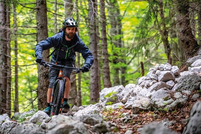 Riding the woodland trails Andy Lloyd 92 1551713781