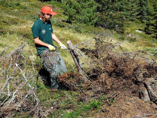 volunteering in grinzling zillertal credit hochgebirgs naturpark zille