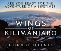 The Wings of Kilimanjaro expedition hopes to raise more than $1million for charity wings of kili logo