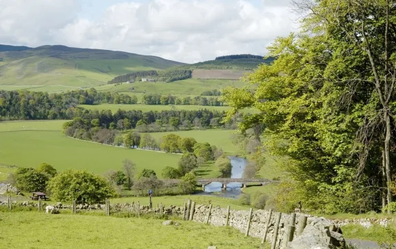 1537 river tweed borders scotland