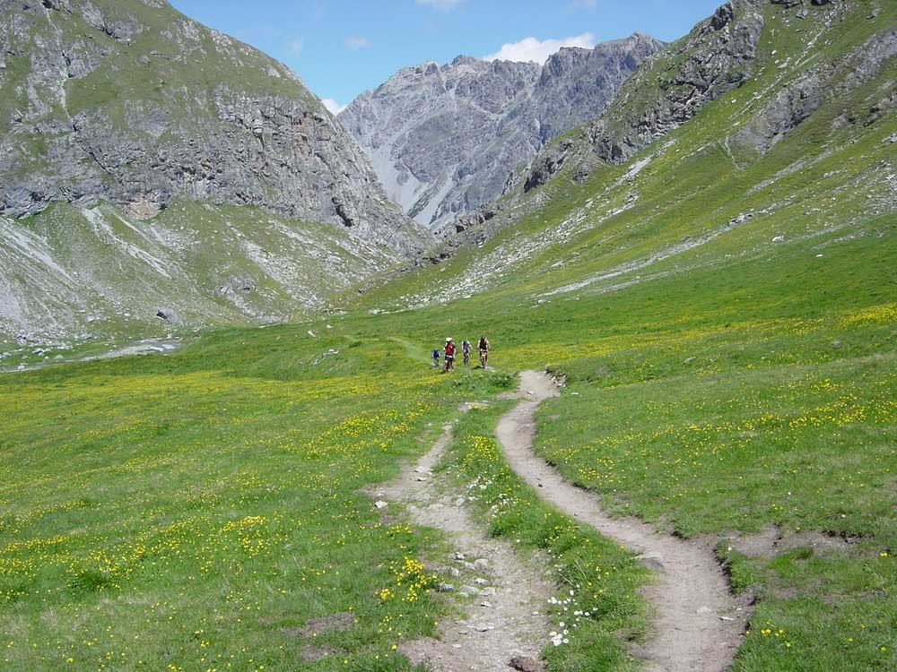 1535 swiss alps alpine neadow bike credit volker rauch