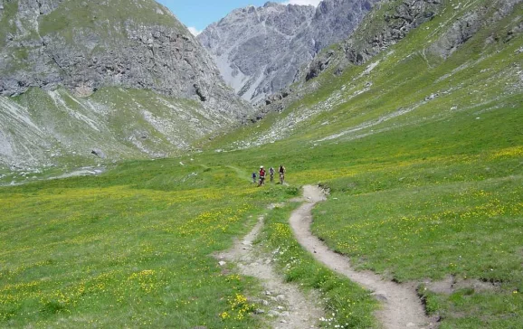 1535 swiss alps alpine neadow bike credit volker rauch