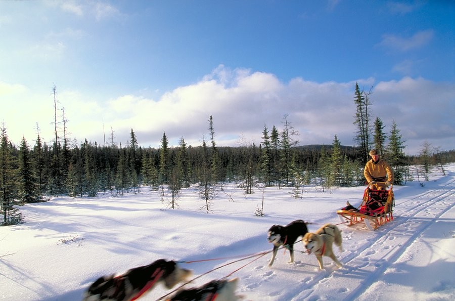 2042 huskies in ontario