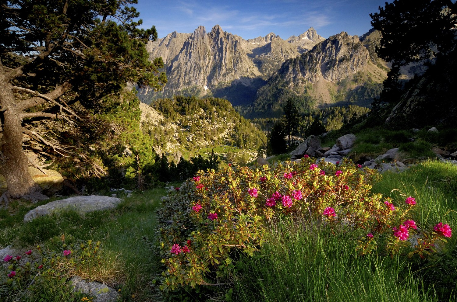 arxiu-del-parc-nacional-d-Aigüestortes