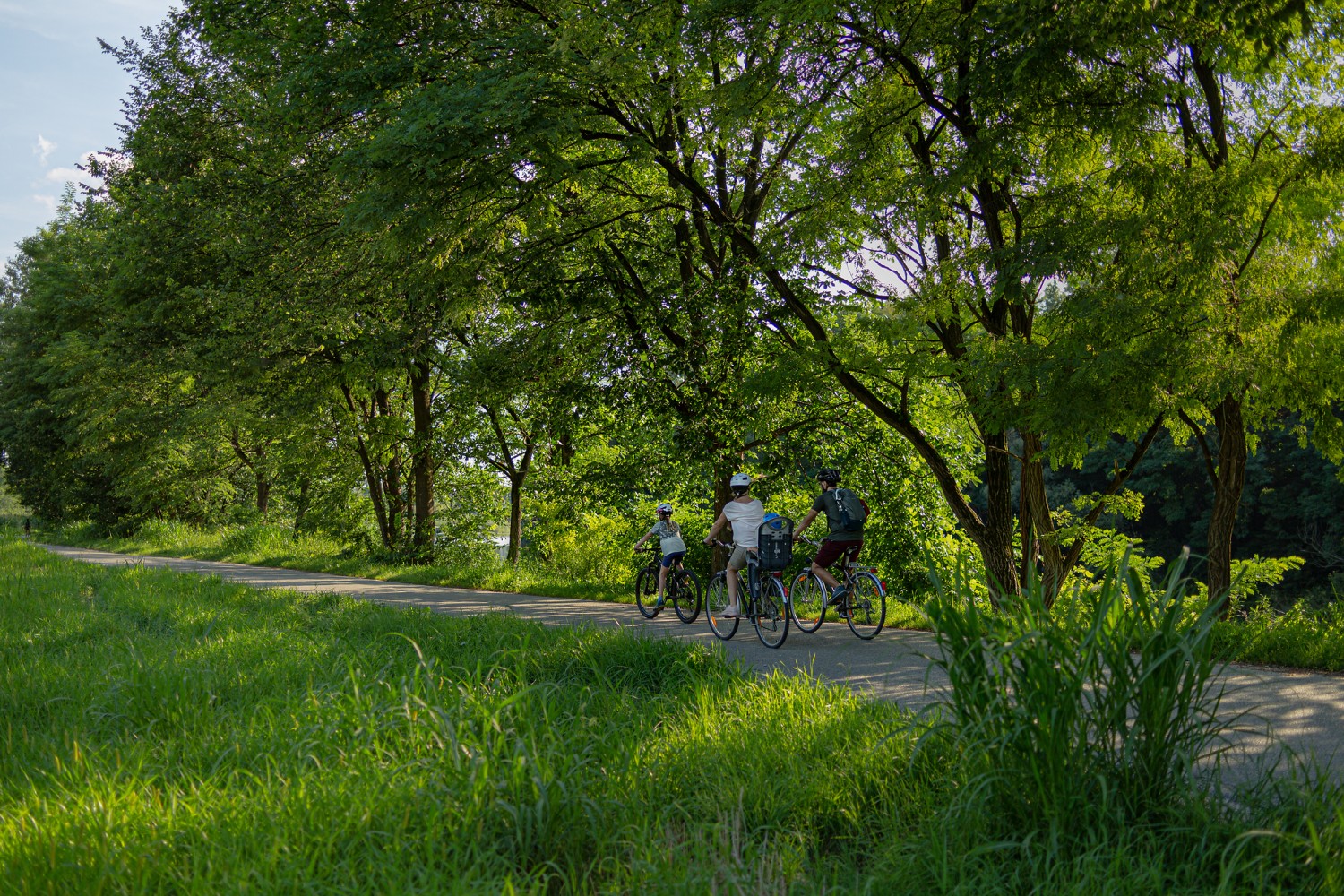 drava-cycling-route-slovenia