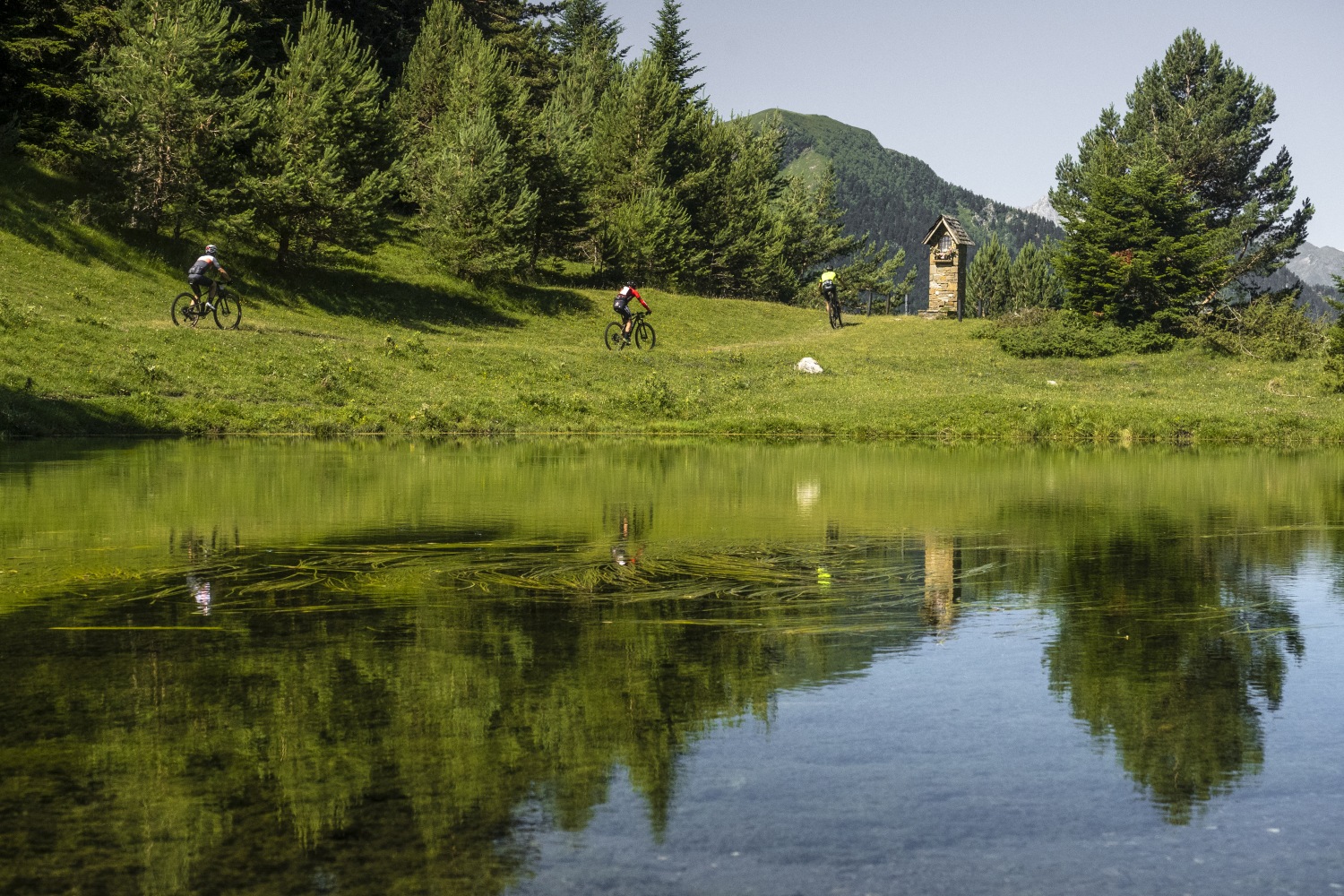 Group cycling along green path next to lake, Era Roda Pallars