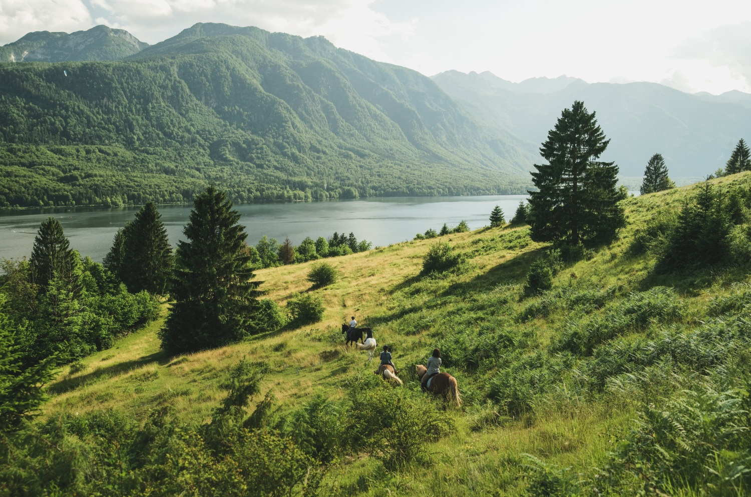 horse-riding-slovenia