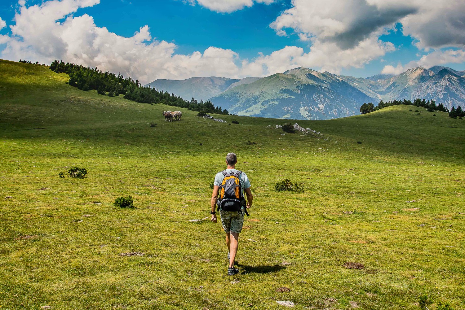 Man walking through green field with mountains in background - Catalonia 