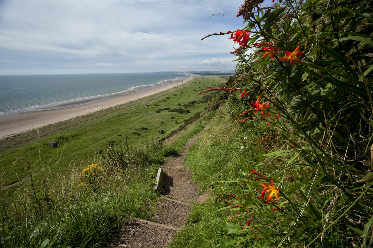 st-cyrus-preserve-aberdeenshire