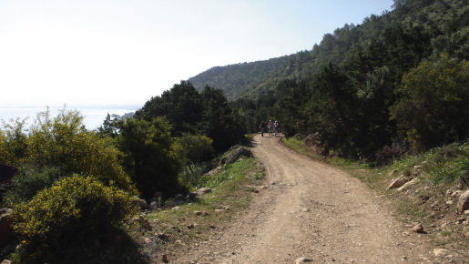Akamas peninsula trail cyprus