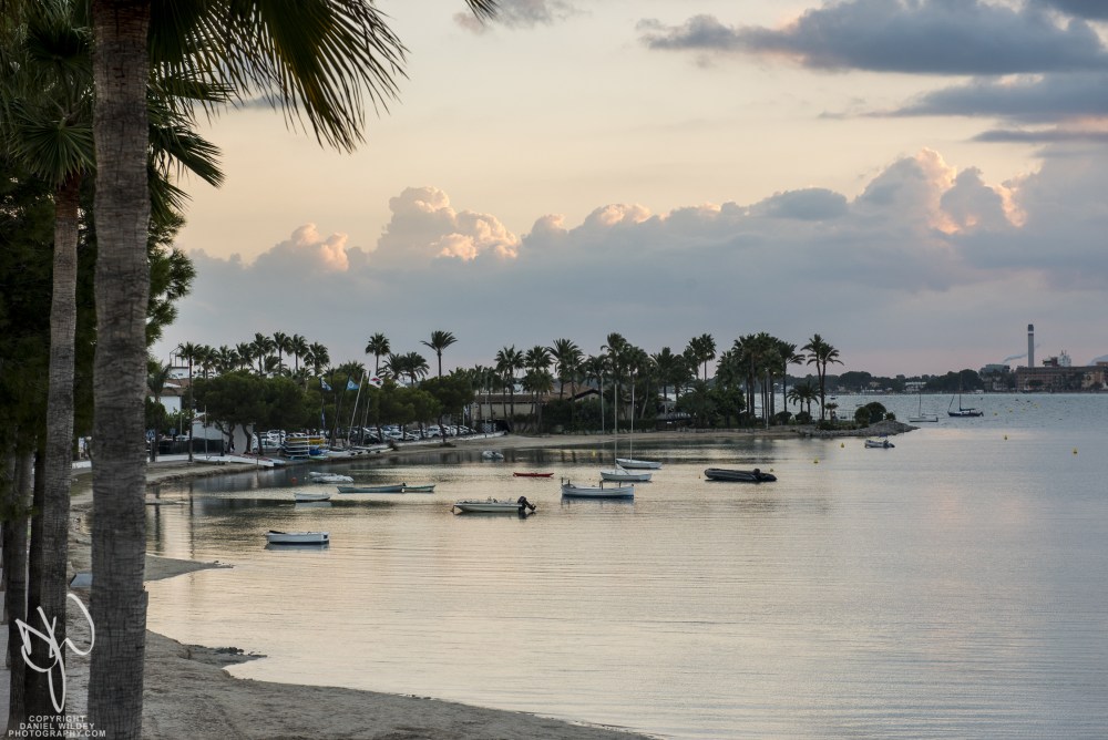 Alcúdia’s palm-fringed beaches.jpg