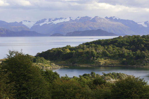 cape horn south america