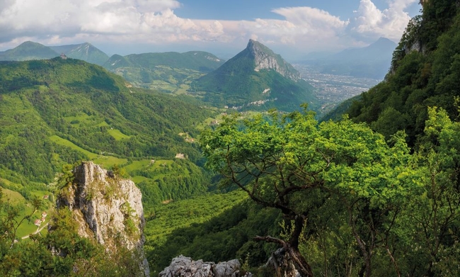 Chartreuse-Panorama © A.Gelin.JPG