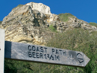 Coastal-Path
