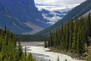 Columbia-Icefield