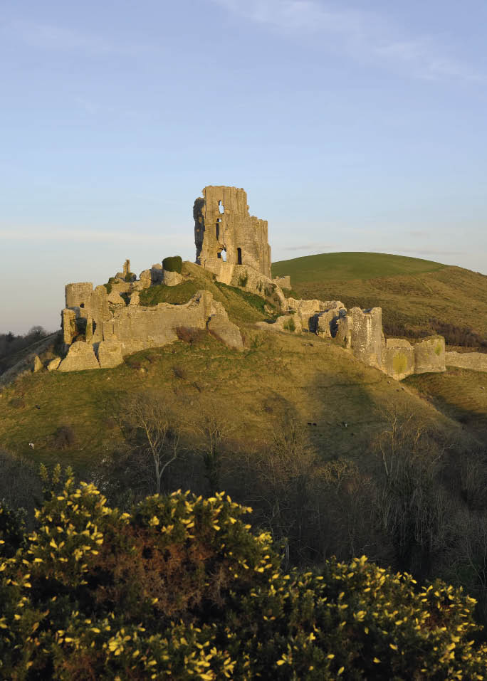 corfe castle dorset