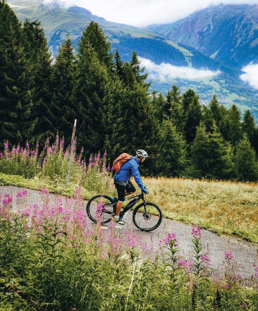 Cycling through the beautiful Alpine scenery.jpg