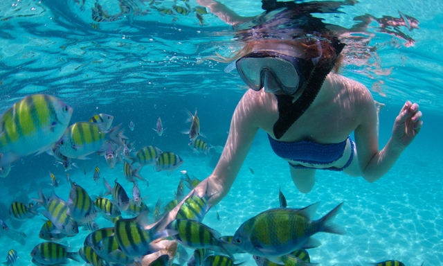 dominica-catamaran-cruise-and-snorkel-RO39-mosaic.jpg