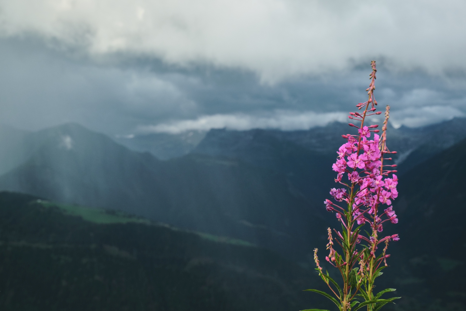 valais-switzerland