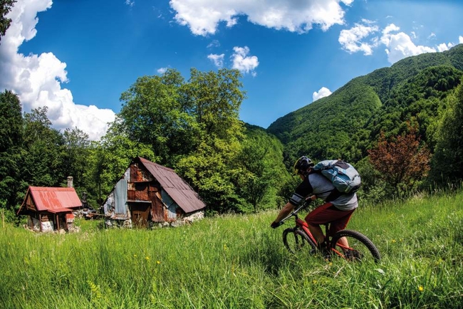 Finding hidden gems in this lush landscape © Andy Lloyd.JPG