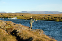 Fly-Fishing-in-Iceland