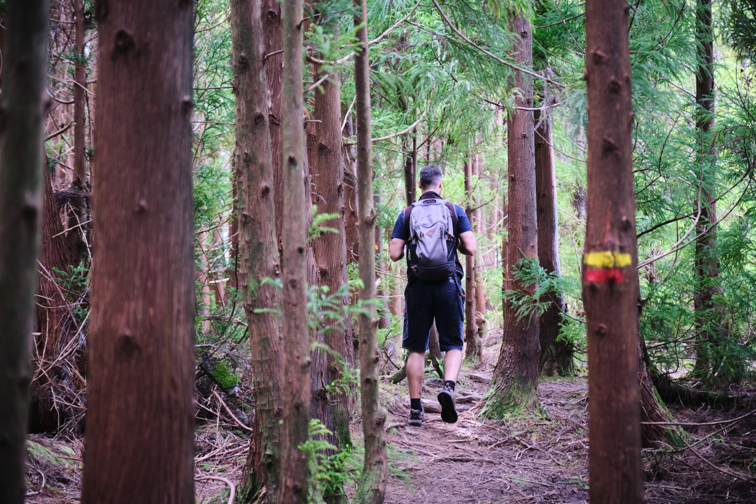 hiking-terceira-azores