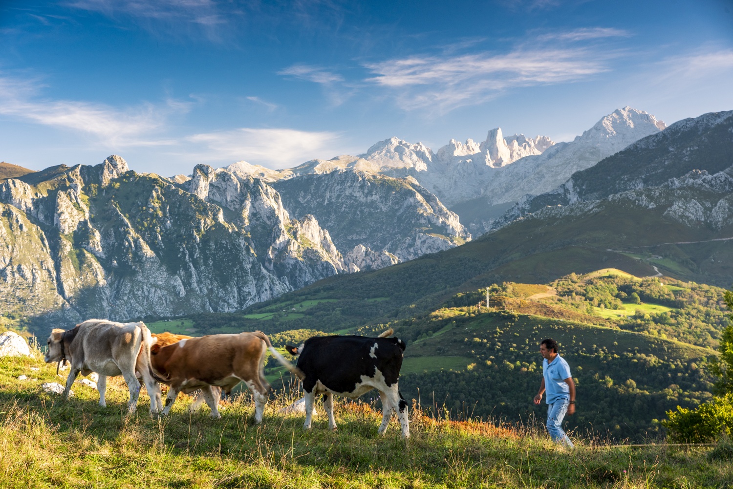 Ganadero-en-los-alrededores-de-la-mayada-de-Tebrandi-asturias-spain