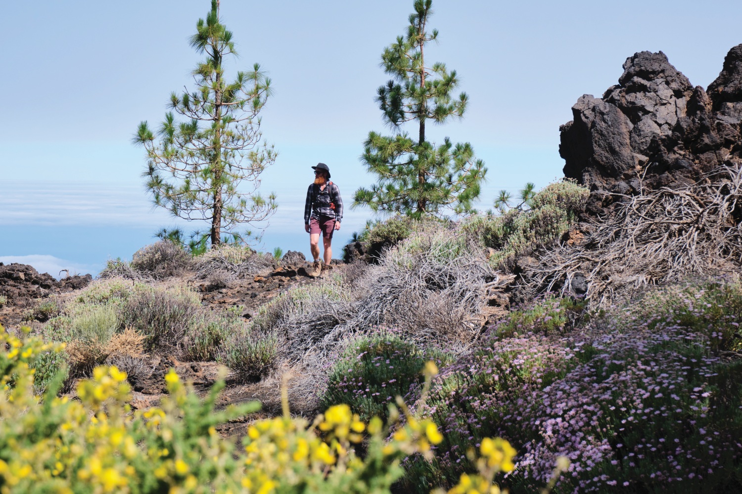 sean-conway-hiking-tenerife