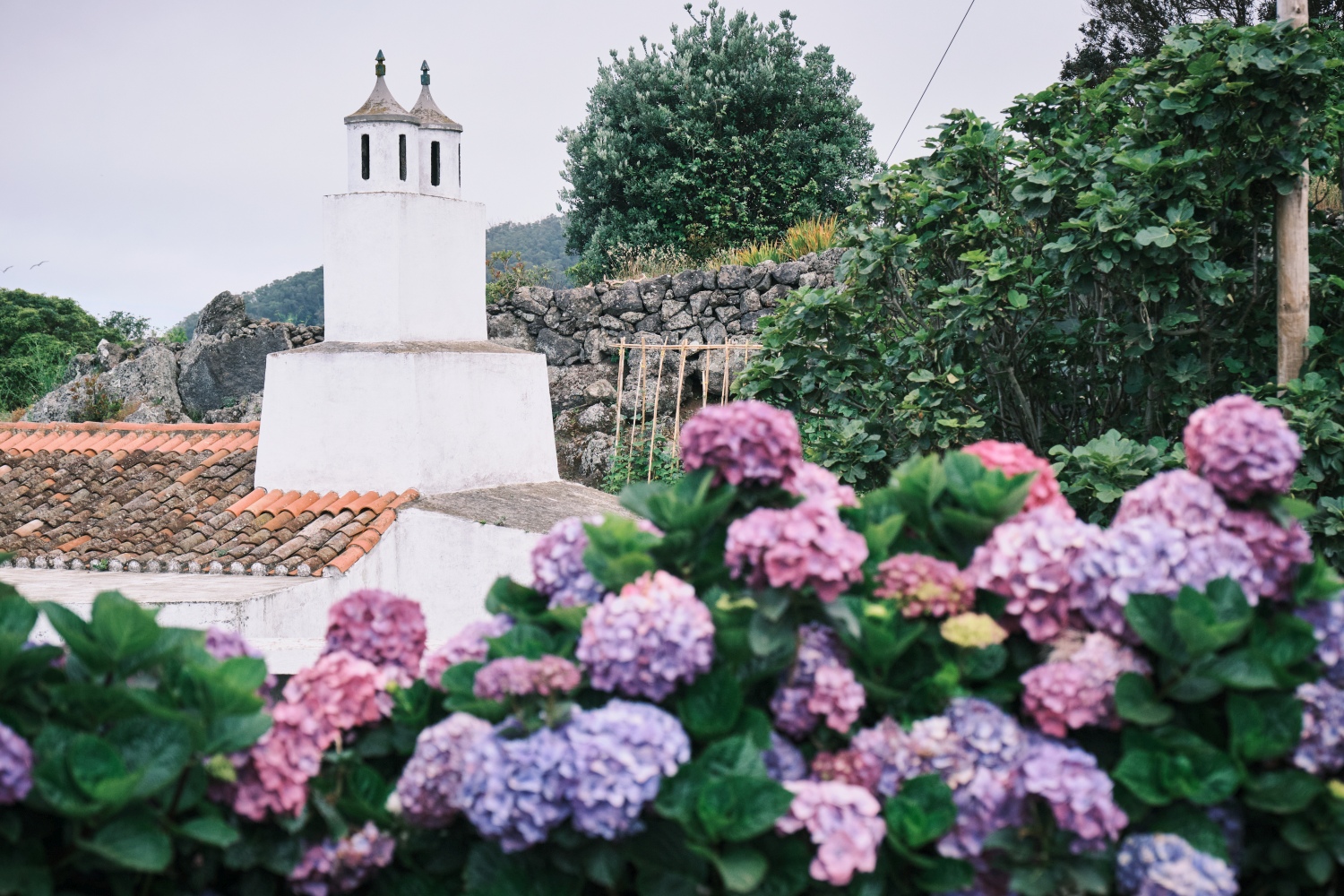 azores-islands