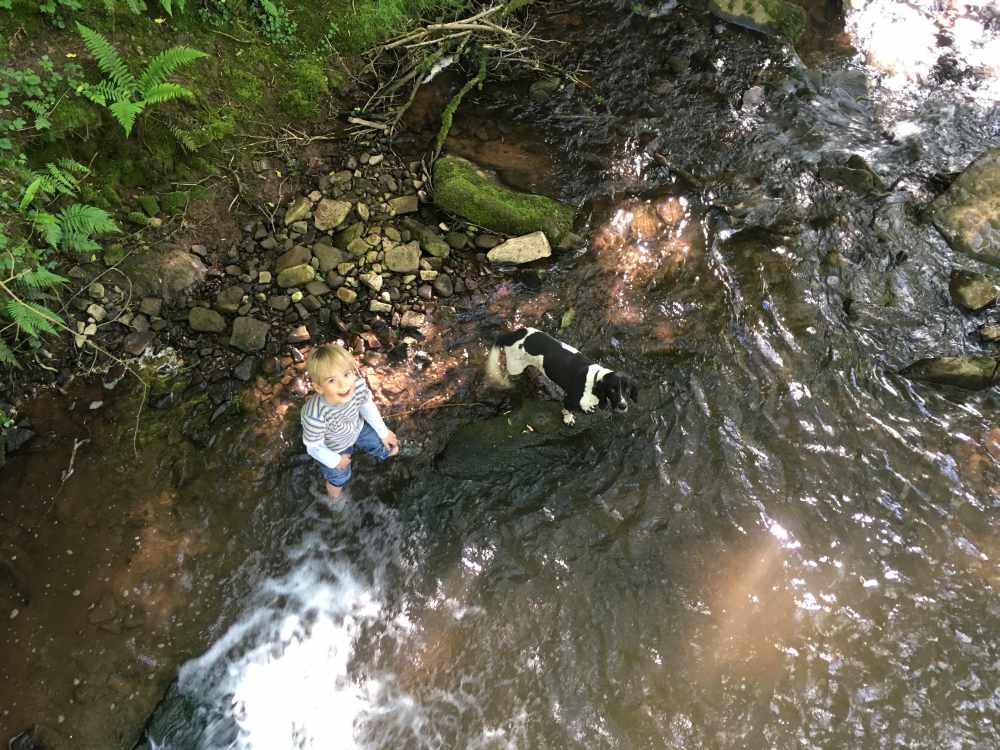 Playing with Tilley in Hidden Valley Yurts' private stream.jpg