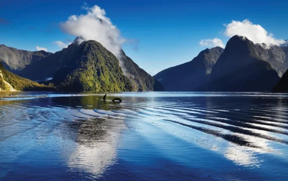 newzealand milfordsound adobestock