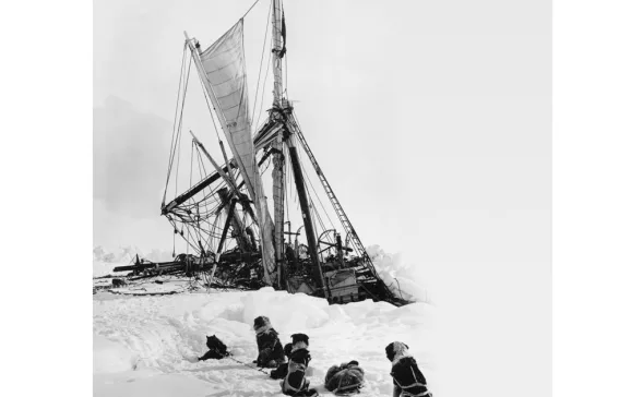 shackleton