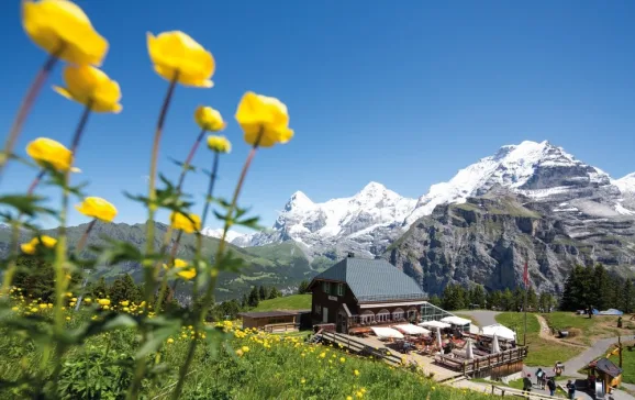 the beautiful landscapes of murren allmendhubel web