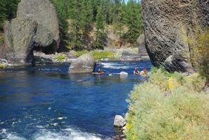 Kayaking_washington