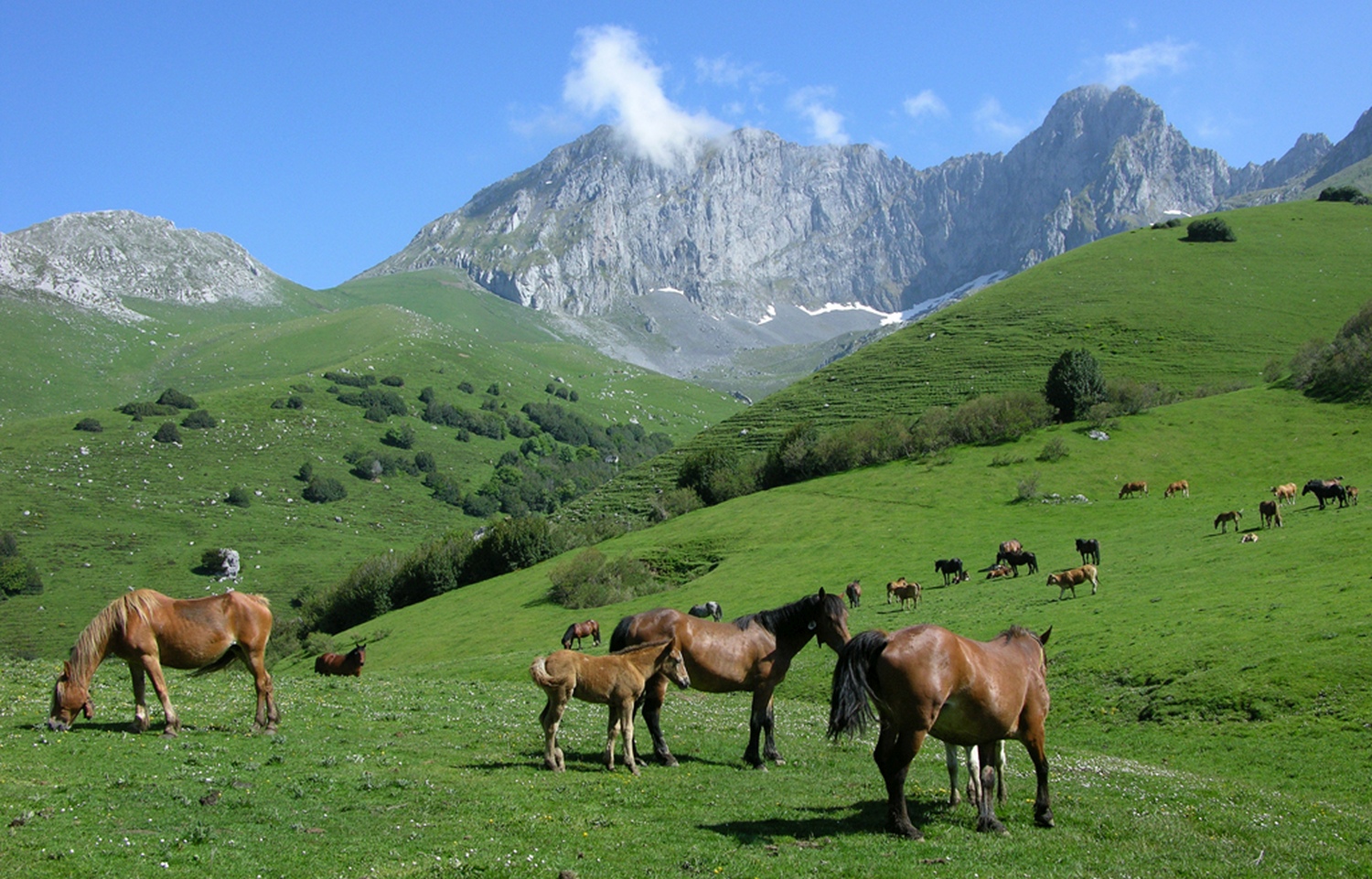 las-ubinas-national-park-asturias-spain