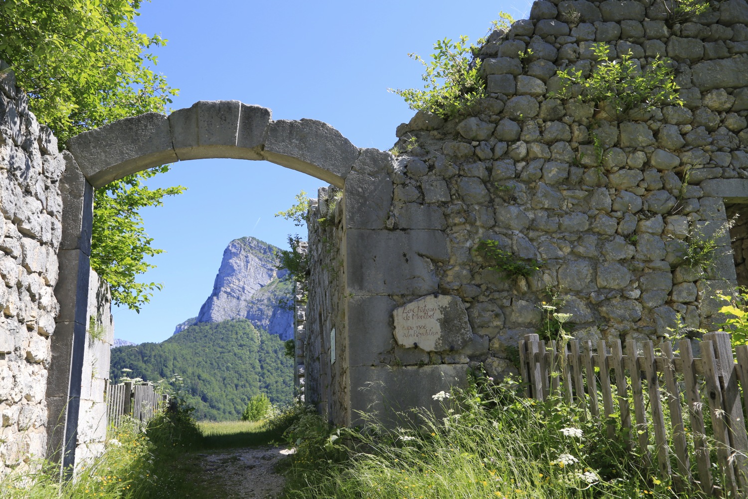 Chartreuse-isere-france