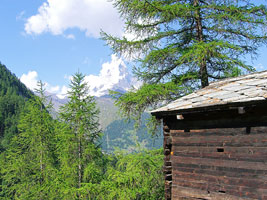 Matterhorn-from-Sunnega