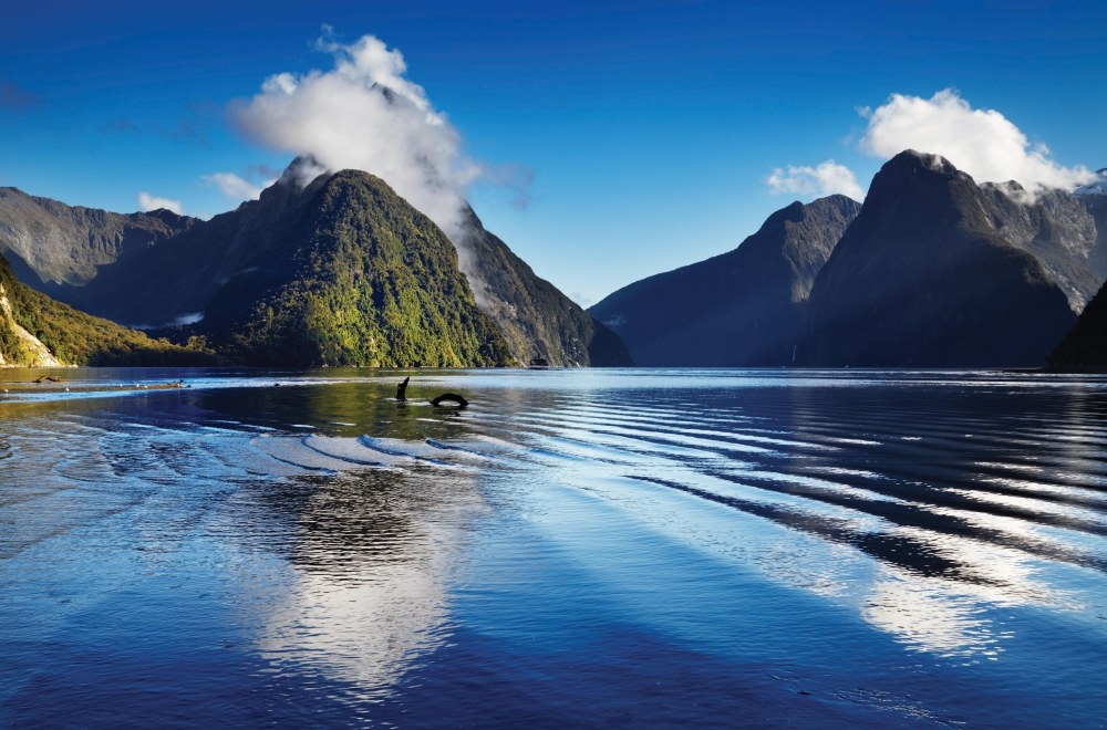 newzealand milfordsound adobestock