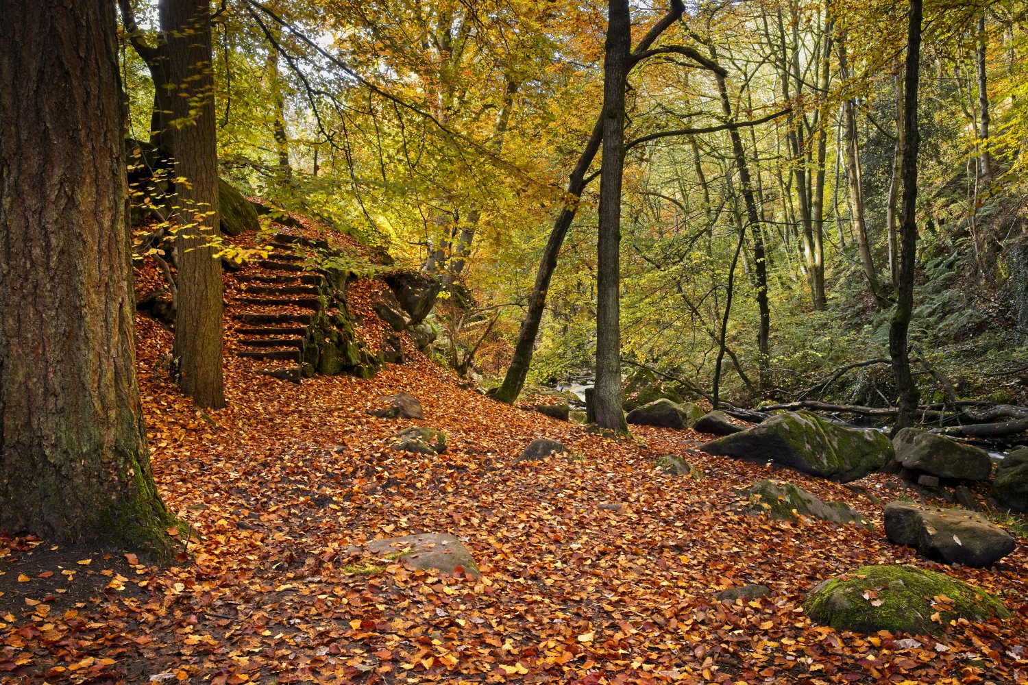 padley-gorge-peak-disrtict