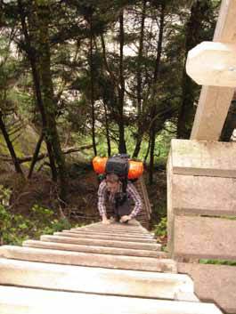 Pete coombs climbs a ladder west coast trail BC Canada