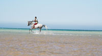 Red-Sea-Riding