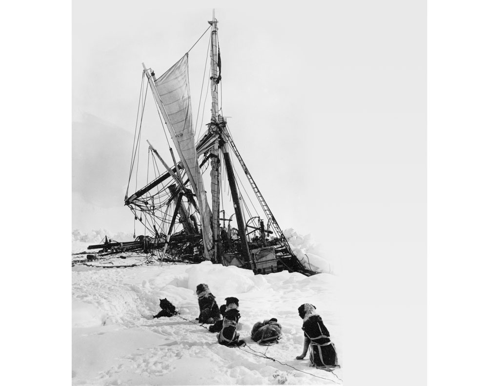 shackleton