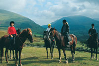 snowdonia-Pony-Trek