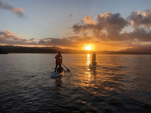 SUP into sunrise on the water.jpg