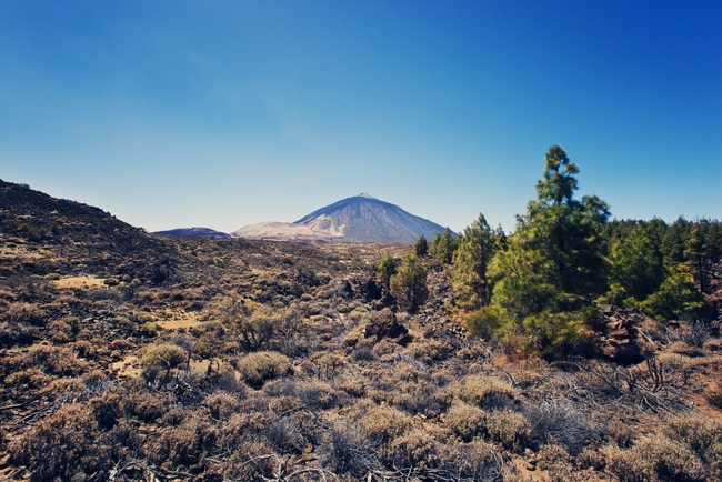 Teide National Park, Tenerife.jpg