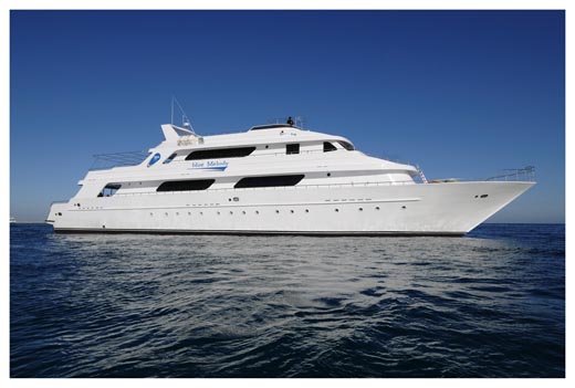 The liveaboard blue Melody