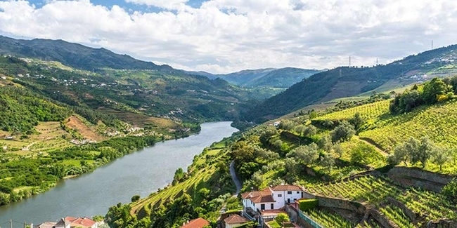 The winding waters of the Douro Valley.jpg