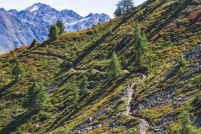 Tour de Montfort MTB Trail Verbier, Switzerland CREDITTristan Kennedy.jpg